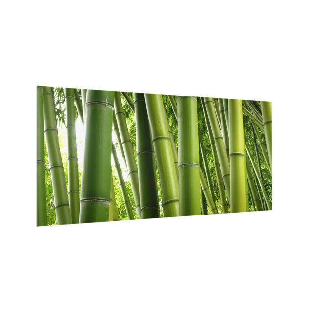 glasskiva kök Bamboo Trees