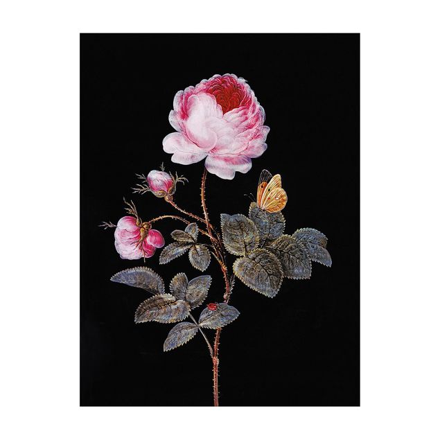 modern matta vardagsrum Barbara Regina Dietzsch - The Hundred-Petalled Rose