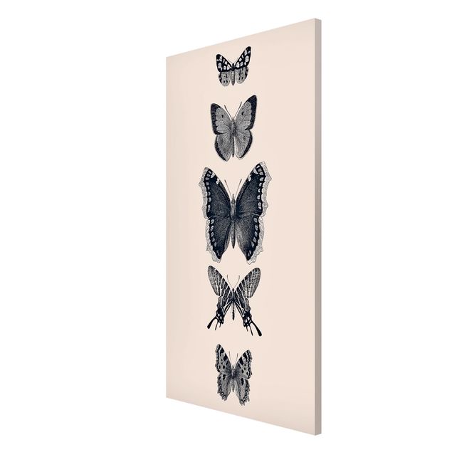 Magnettavla djur Ink Butterflies On Beige Backdrop