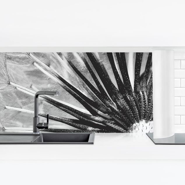 väggplatta kök Dandelion Black & White