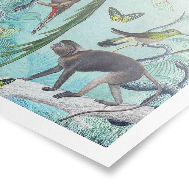 Posters konstutskrifter Colonial Style Collage - Monkeys And Birds Of Paradise