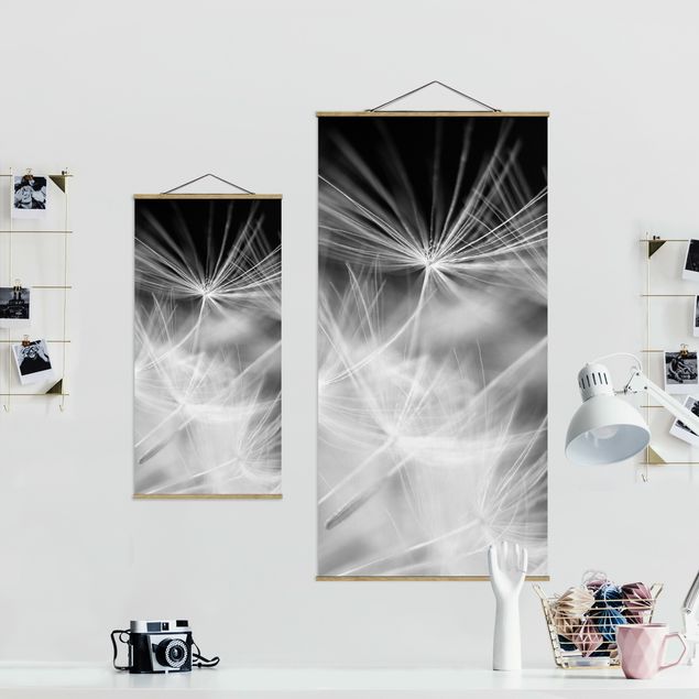 Tavlor svart och vitt Moving Dandelions Close Up On Black Background