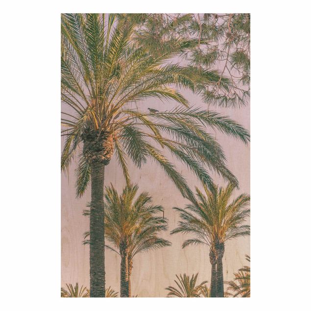 Trätavlor blommor  Palm Trees At Sunset
