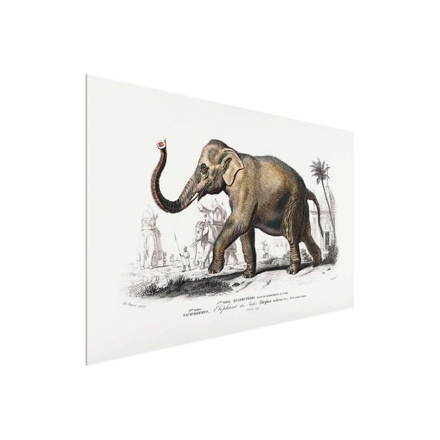 Glastavlor landskap Vintage Board Elephant