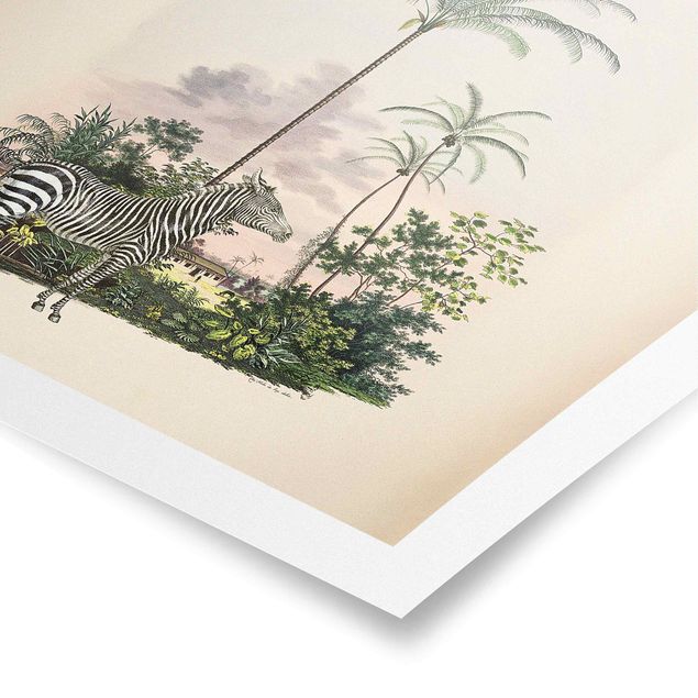Posters landskap Zebra Front Of Palm Trees Illustration