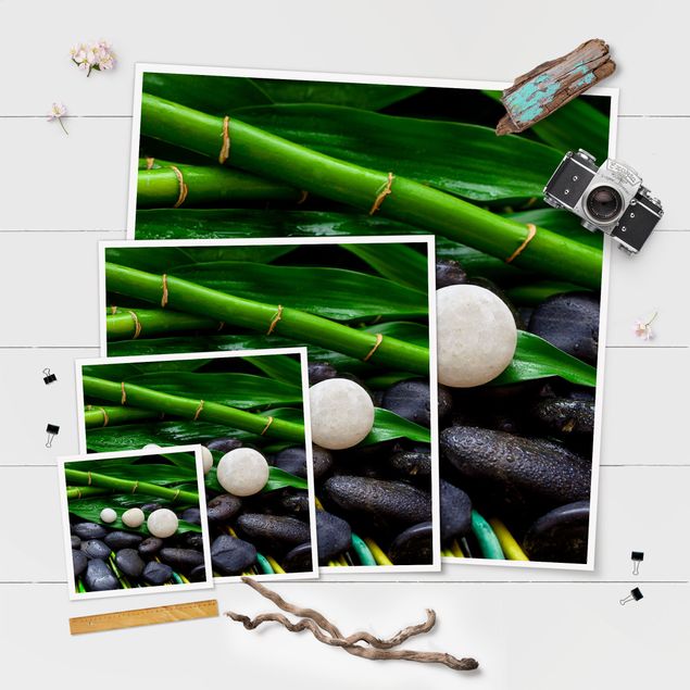 Tavlor Green Bamboo With Zen Stones