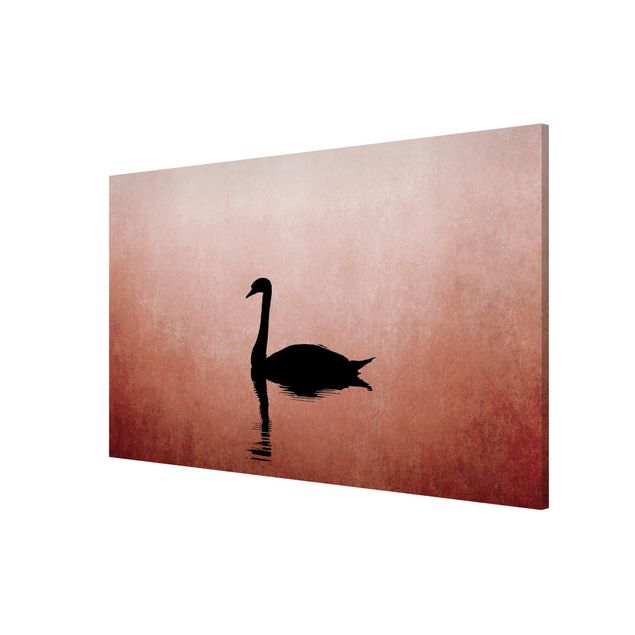 Magnettavla djur Swan In Sunset