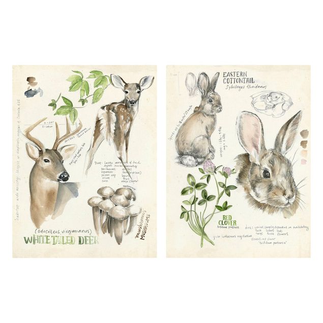 Tavlor blommor  Wilderness Journal - Deer And Rabbits Set II