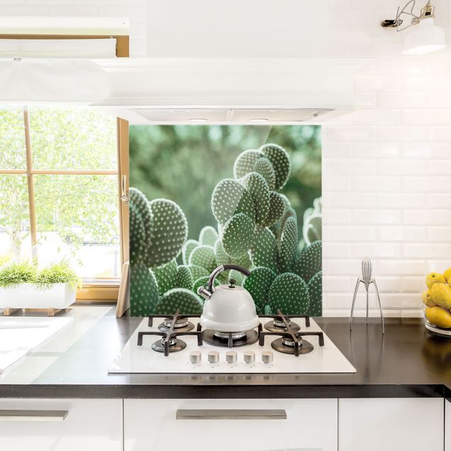 Stänkskydd kök glas blommor  Cacti