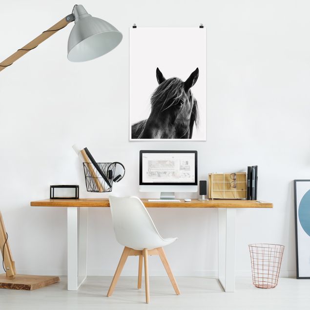 Posters svart och vitt Curious Horse