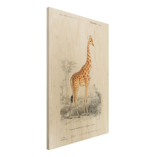 Kök dekoration Vintage Board Giraffe