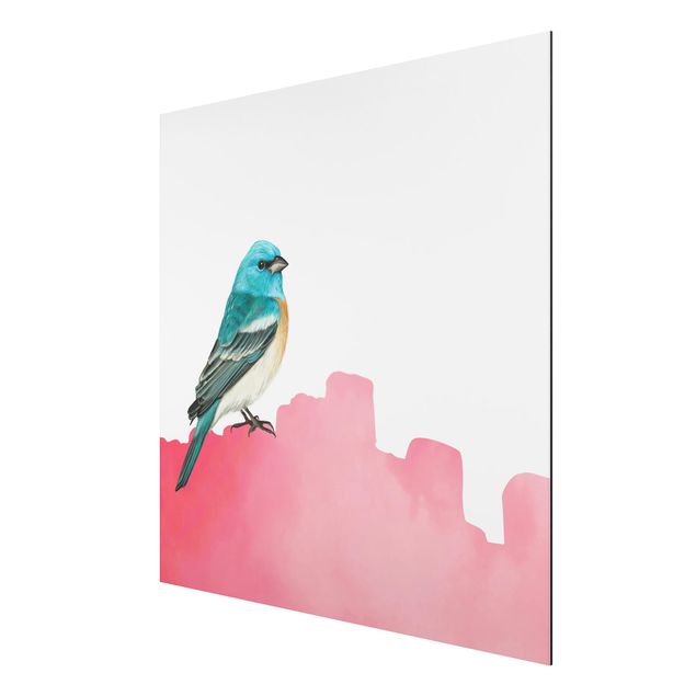 Tavlor djur Bird On Pink Backdrop