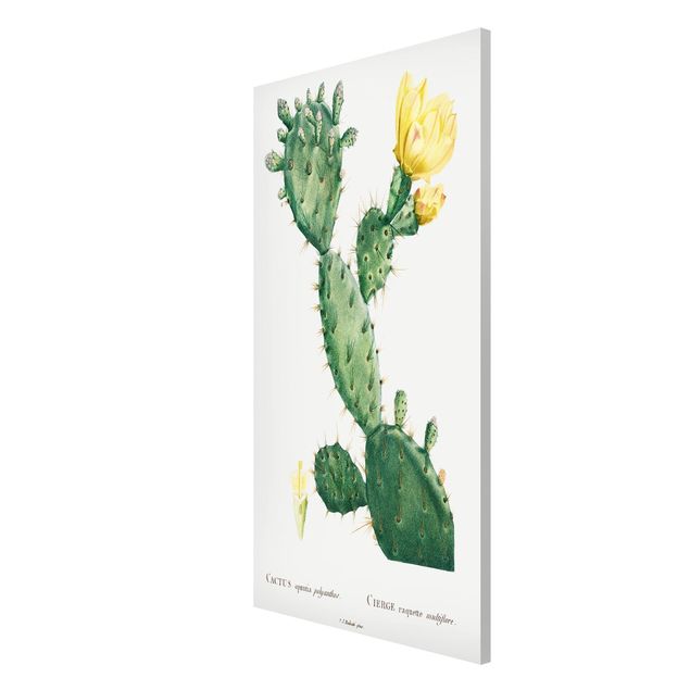 Tavlor blommor Botany Vintage Illustration Cactus With Yellow Flower