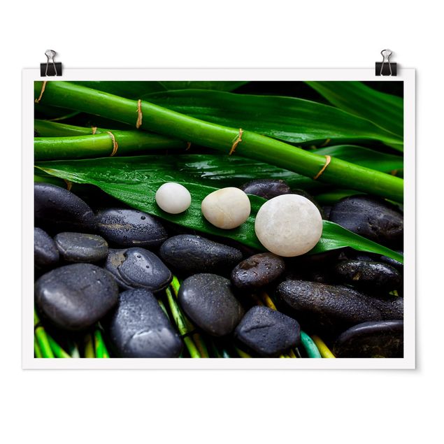 Tavlor blommor Green Bamboo With Zen Stones