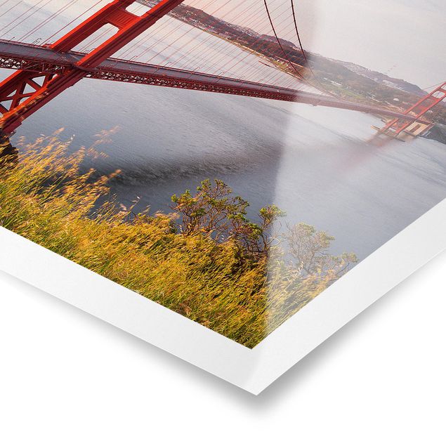Tavlor Rainer Mirau Golden Gate Bridge In San Francisco