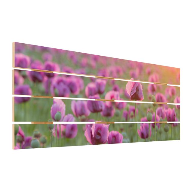 Trätavlor Purple Poppy Flower Meadow In Spring