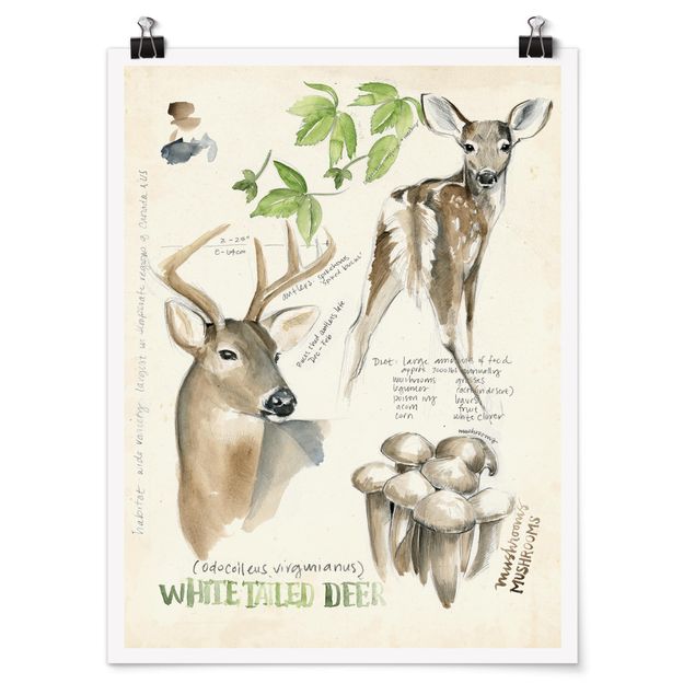 Tavlor blommor Wilderness Journal - Deer