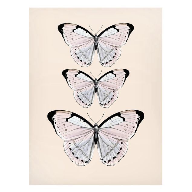 Tavlor fjärilar Butterfly On Beige