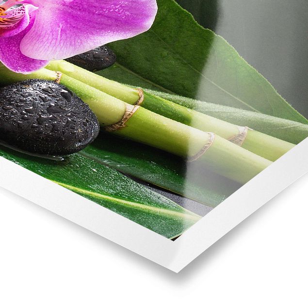Posters konstutskrifter Green Bamboo With Orchid Flower