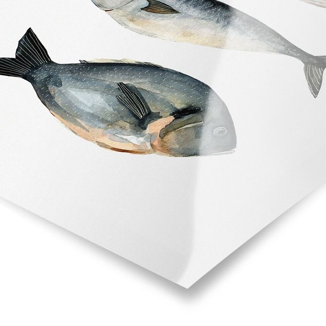 Tavlor blå Four Fish In Watercolour I