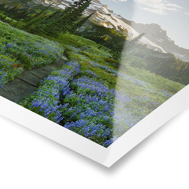 Posters blommor  Mountain View Meadow Path