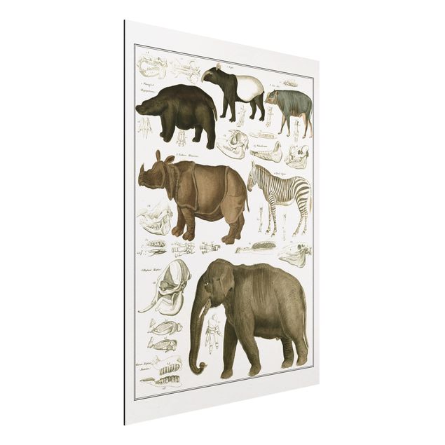 Kök dekoration Vintage Board Elephant, Zebra And Rhino