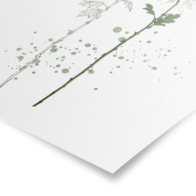 Tavlor blommor Botanical Watercolour - Dandelion