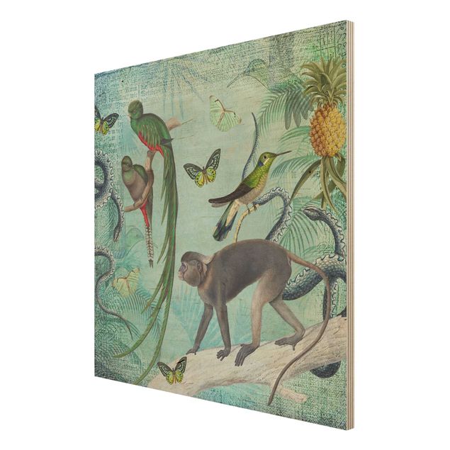 Tavlor Andrea Haase Colonial Style Collage - Monkeys And Birds Of Paradise