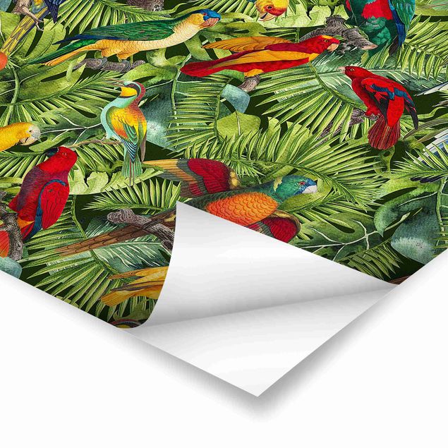 Tavlor Andrea Haase Colourful Collage - Parrots In The Jungle