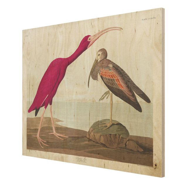Trätavlor stränder Vintage Board Red Ibis
