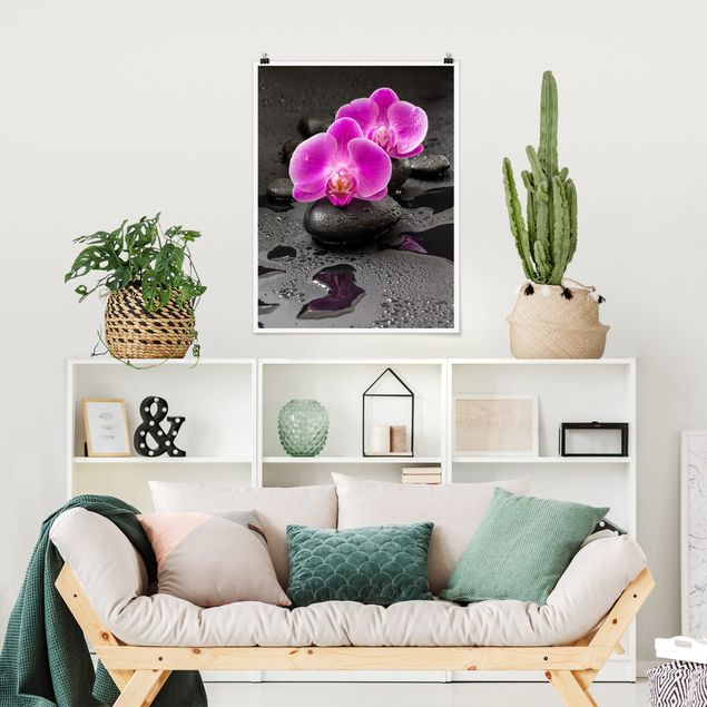 Posters blommor  Pink Orchid Flower On Stones With Drops