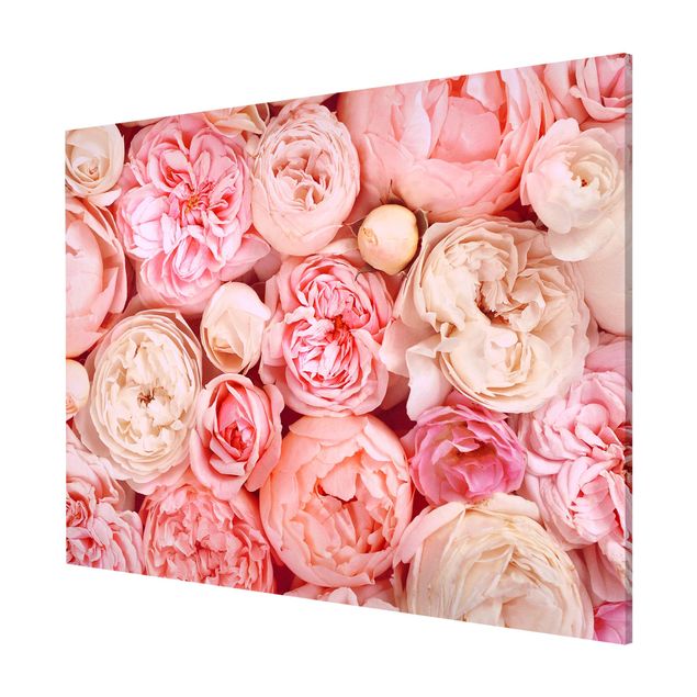 Tavlor blommor Roses Rosé Coral Shabby
