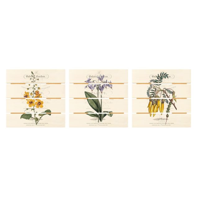 Tavlor Botanical Tableau Set I