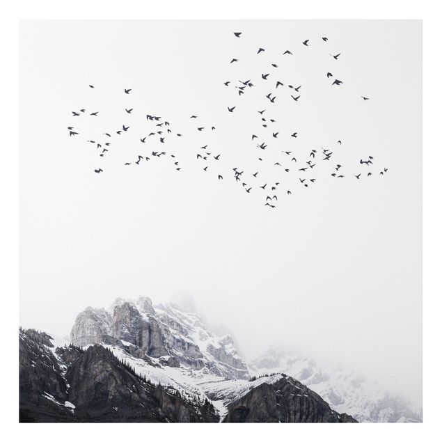 Tavlor bergen Flock Of Birds In Front Of Mountains Black And White
