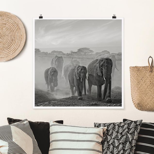 Tavlor elefanter Herd Of Elephants