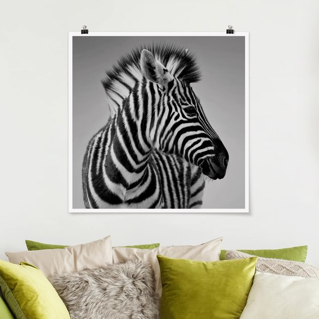 Tavlor zebror Zebra Baby Portrait II
