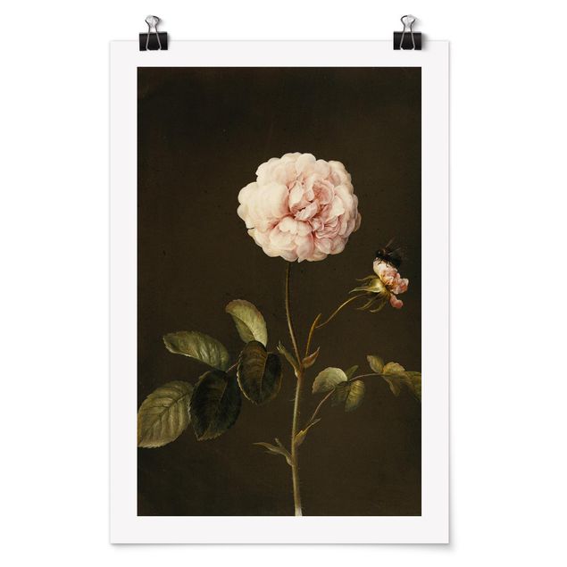 Posters blommor  Barbara Regina Dietzsch - French Rose With Bumblbee