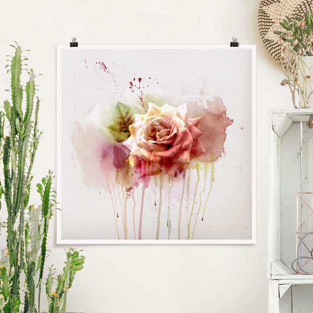 Posters blommor  Watercolour Rose
