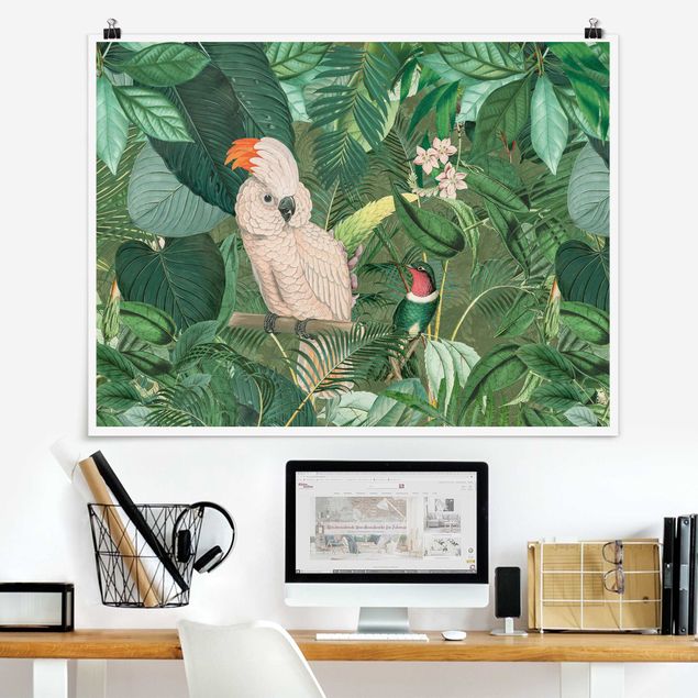 Kök dekoration Vintage Collage - Kakadu And Hummingbird
