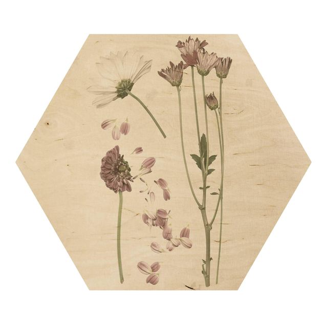 Hexagonala tavlor Herbarium In Pink II