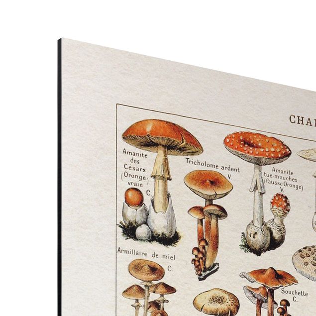 Tavlor brun Vintage Board Mushrooms