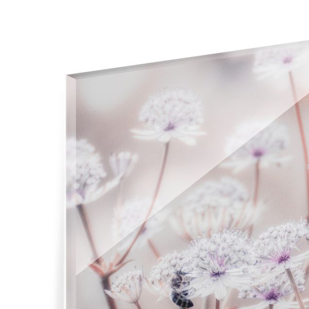 Spritzschutz Glas - Federleichte Wildblumen - Quadrat 1:1