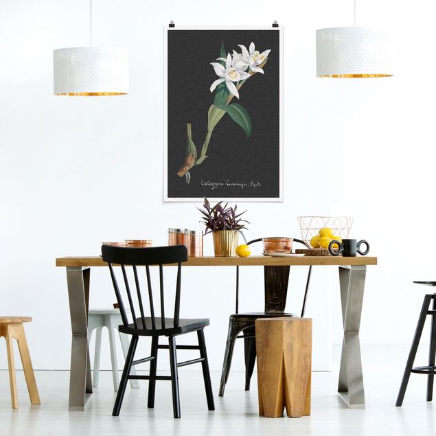 Posters blommor  White Orchid On Linen II