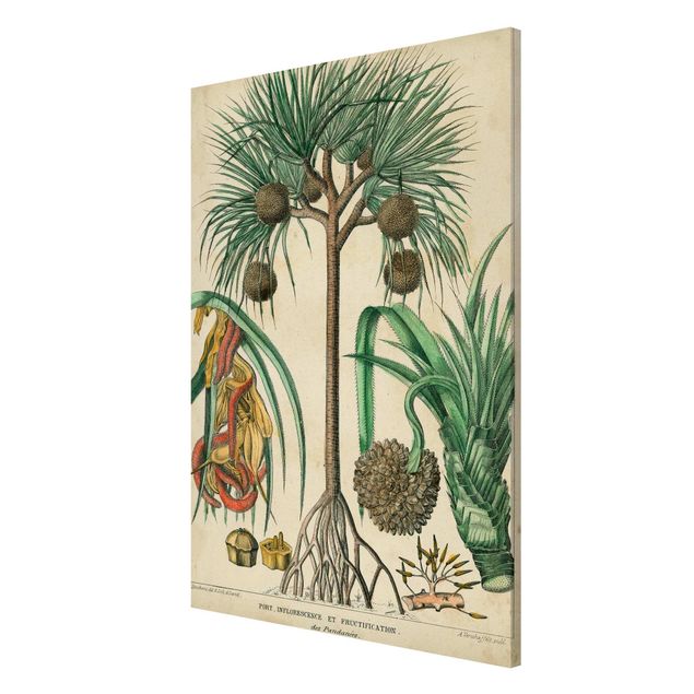 Magnettavla blommor  Vintage Board Exotic Palms I