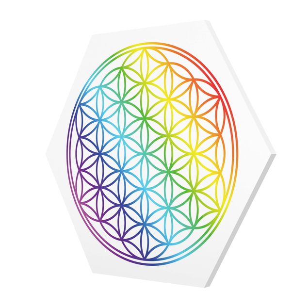 Hexagonala tavlor Flower of Life rainbow color