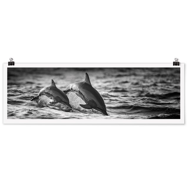 Posters djur Two Jumping Dolphins