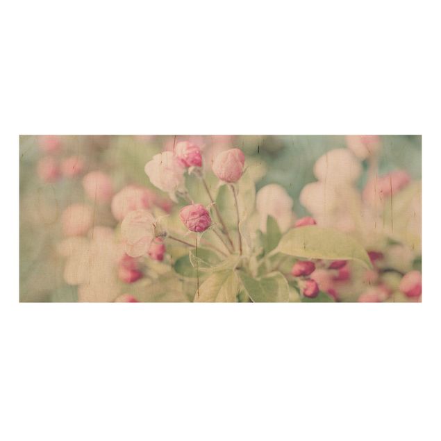 Trätavlor blommor  Apple Blossom Bokeh Light Pink
