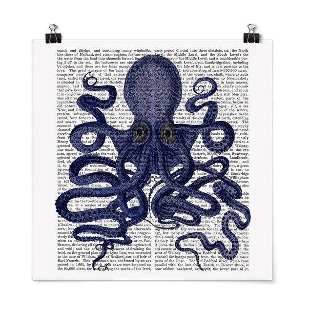 Posters djur Animal Reading - Octopus