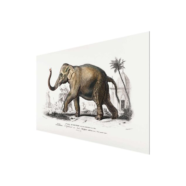 Tavlor natur Vintage Board Elephant