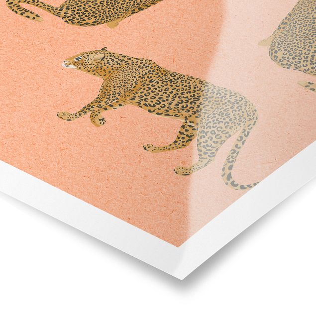 Tavlor orange Illustration Leopard Pink Painting